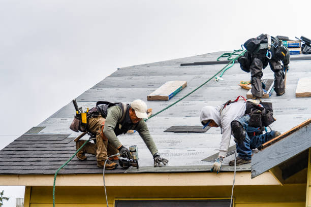Professional Gutter Installation technician working in Harris, MN